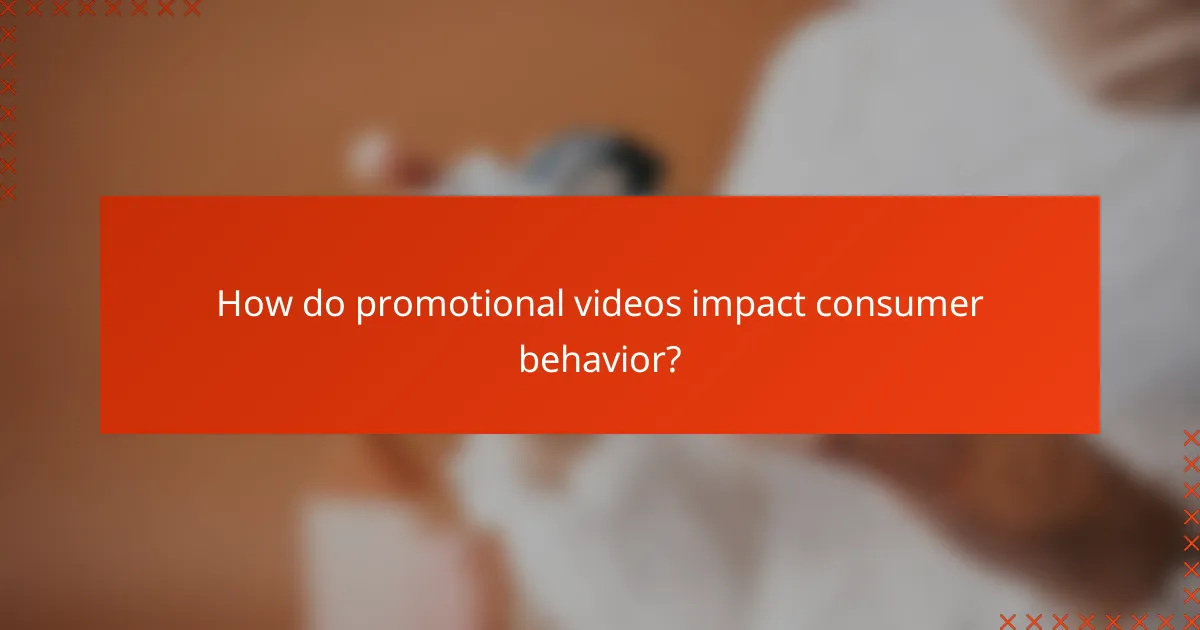 How do promotional videos impact consumer behavior?