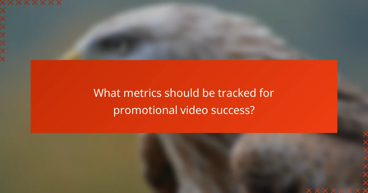 What metrics should be tracked for promotional video success?