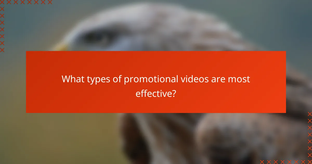 What types of promotional videos are most effective?